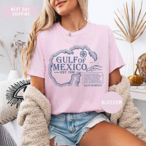 Gulf of Mexico 1550 Vintage Political Comfort Colors Tee
