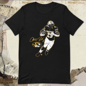 Tyreek Hill The Cheetah Miami Dolphins Shirt