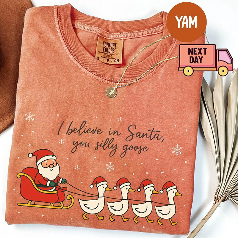 I Believe In Santa Silly Goose Christmas Comfort Colors Shirt I Believe In Santa Silly Goose Christmas Comfort Colors Shirt