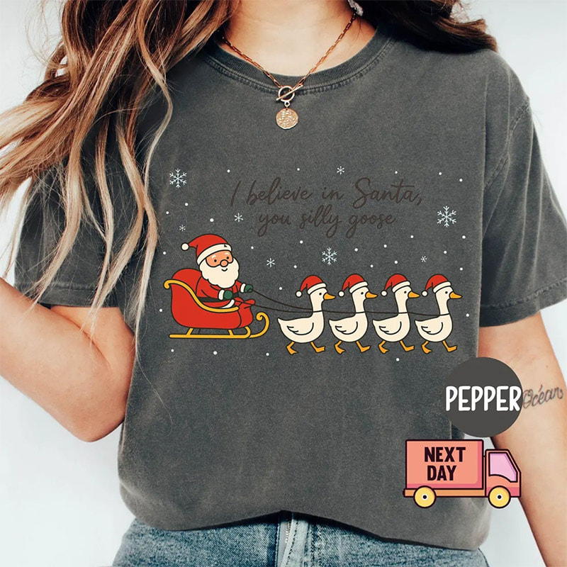 I Believe In Santa Silly Goose Christmas Comfort Colors Shirt I Believe In Santa Silly Goose Christmas Comfort Colors Shirt
