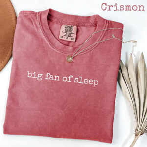 National Lazy Day Big Fan Of Sleep Comfort Colors Shirt PersonalizedShirts.net
