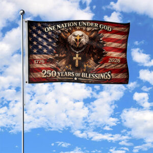 USA 250th Anniversary, 4th Of July Gift Shirt