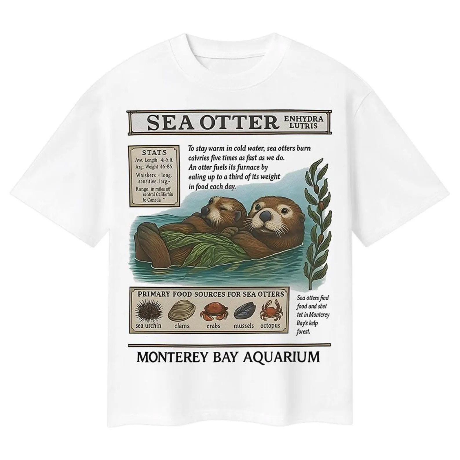 Vintage Sea Otters Monterey Bay Aquarium Shirt Vintage Sea Otters Monterey Bay Aquarium Shirt
